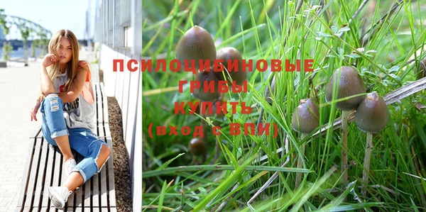 герыч Сатка