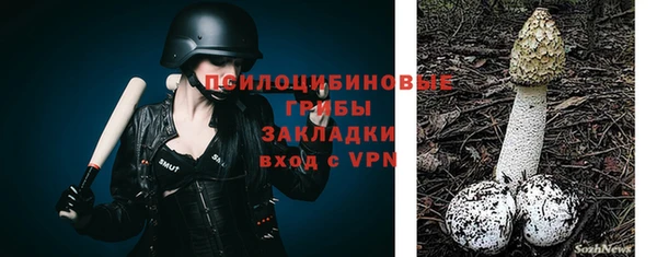 гашик Сафоново