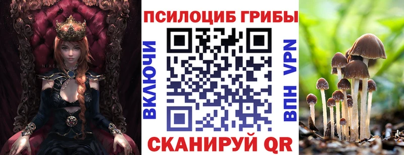 даркнет сайт  нарко площадка клад  Псилоцибиновые грибы GOLDEN TEACHER  Владикавказ 