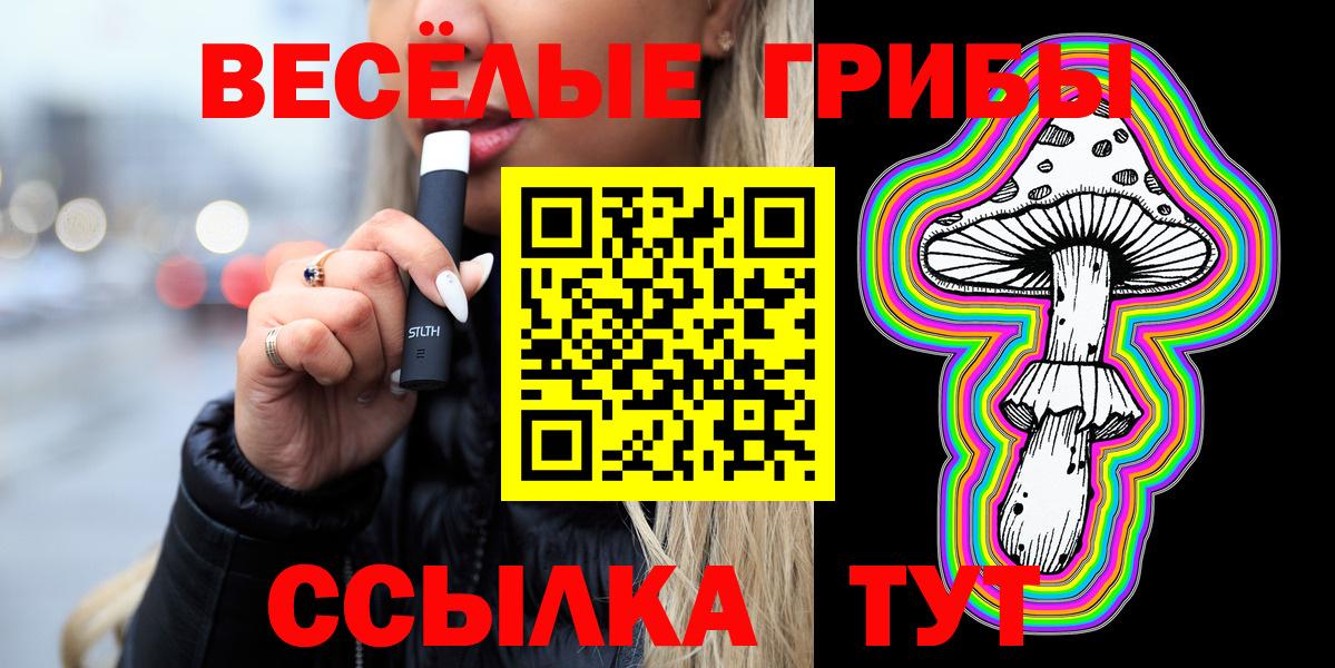 Владикавказ  Галлюциногенные грибы GOLDEN TEACHER  купить  цена  Вход с VPN 